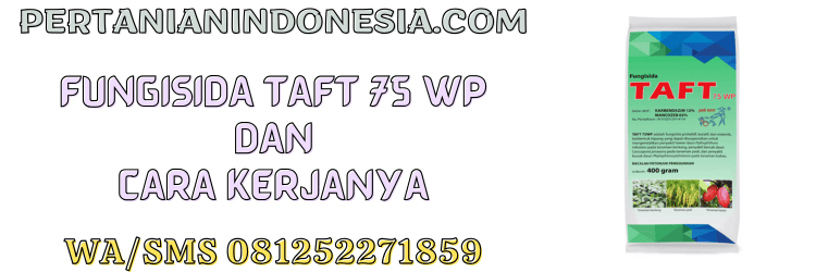 fungisida,taft,taft 75 wp,saprotan utama,jamur,cendawan,penyakit,pertanian indonesia